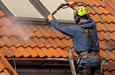 Démoussage et hydrofuge de toiture à Franclens
